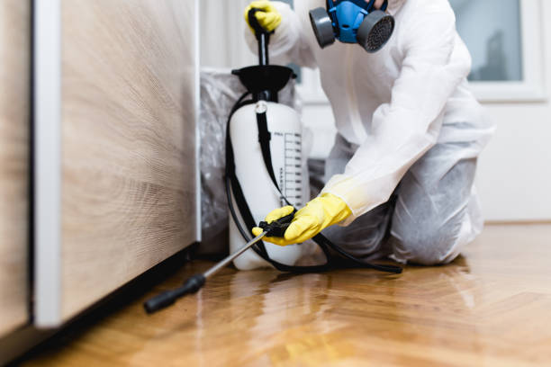 Best Mosquito Control Services  in Evergreen Park, IL