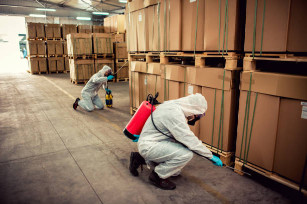Best Cockroach Control Services  in Evergreen Park, IL