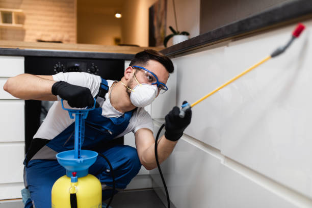 Best Bed Bug Extermination  in Evergreen Park, IL