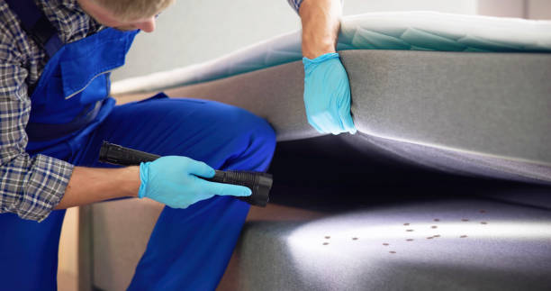 Best Best Pest Control Companies  in Evergreen Park, IL